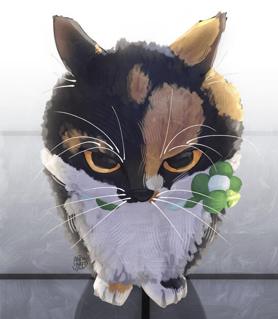 Oobleck (My Cat)